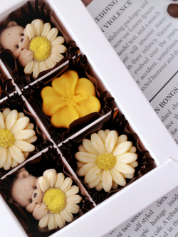 Набор подарочный "Летний" #1 / Конфеты ручной работы