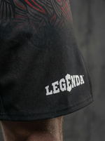 Шорты спортивные тренировочные черные LEGENDA Вальхалла