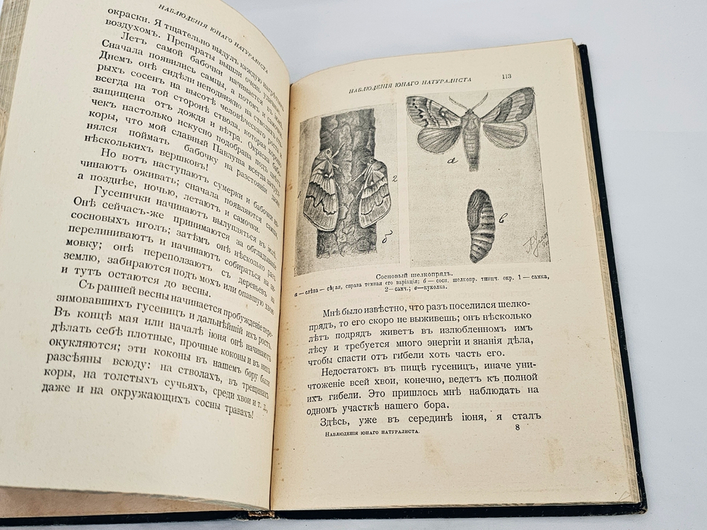 "Наблюдения юного натуралиста : Очерки А.А. Умнова". А.А. Умнов. 1909г.