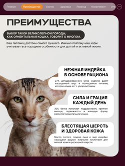 Корм сухой для кошек породы Ориентальная кошка, с индейкой, 5 кг, QUATTRO