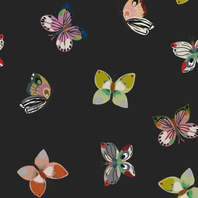 Милые разноцветные бабочки на чёрном