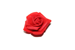 Роза латексная Малая 5см