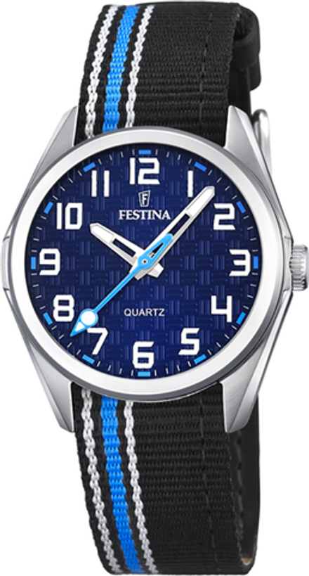 Наручные часы Festina F16904/2