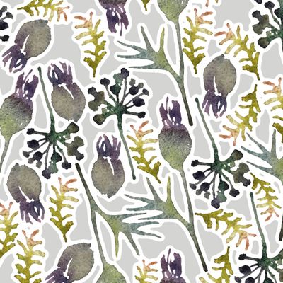 акварельный чертополох