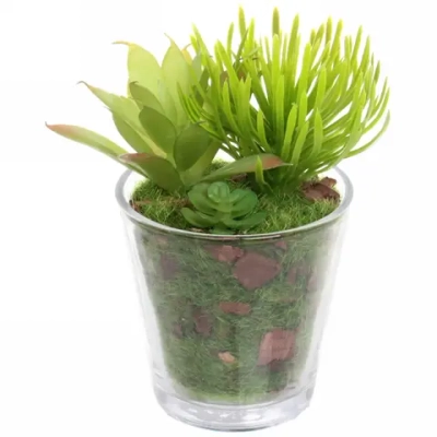 Цветок искусственный «Суккулент» 6*11см в стеклянном горшке ZPY-05