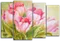 Модульная картина "Небесные тюльпаны"