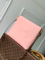 Louis Vuitton Multipass