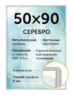 Металлическая рамка 50х90 см