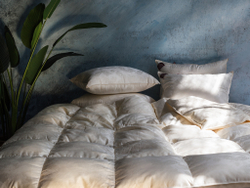 Одеяло всесезонное German Grass Silk Down Grass фото