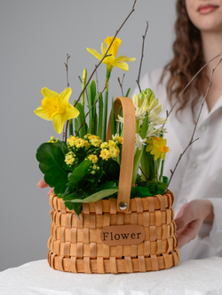 Аромат солнца