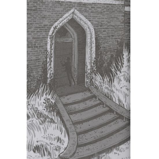 Торнхилл: графический роман. Смай П.