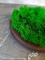 Панно из мха набор 3 шт.