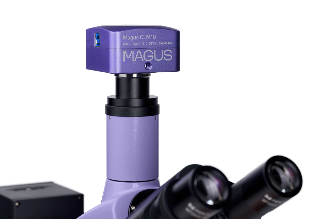 Микроскоп люминесцентный цифровой MAGUS Lum D400L
