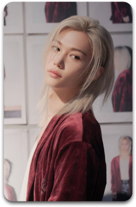 Карта / STRAY KIDS #2730