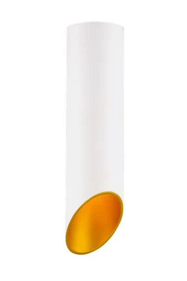 HDL-5060-220-WH/GOLD (1/25) Светильник