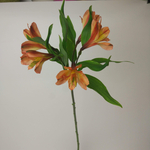 Альстромерия перфект