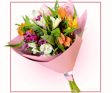 Альстромерии