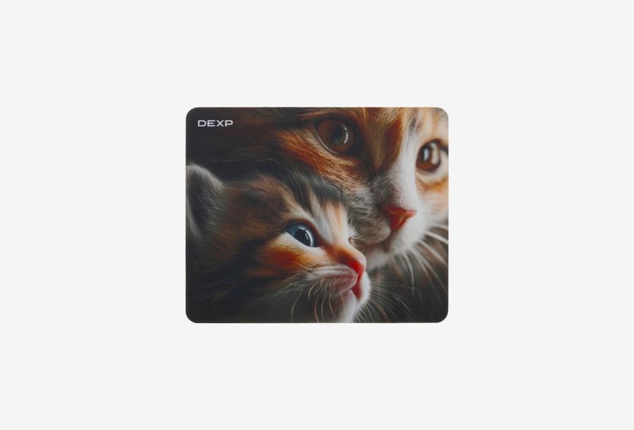 DEXP Kitten OM-XS_0126526101609