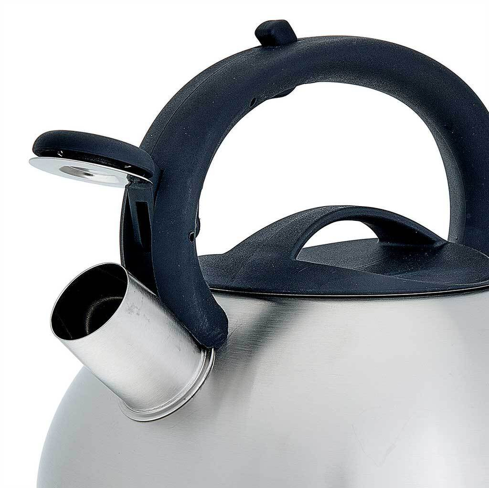 Чайник со свистком 3 л из нержавеющей стали, индукционное дно WEBBER BE-0587 сатин