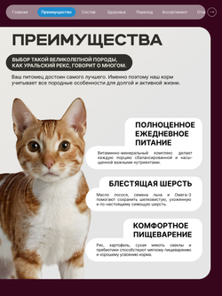 Корм сухой для взрослых кошек породы Уральский рекс, с лососем, 400 гр, QUATTRO