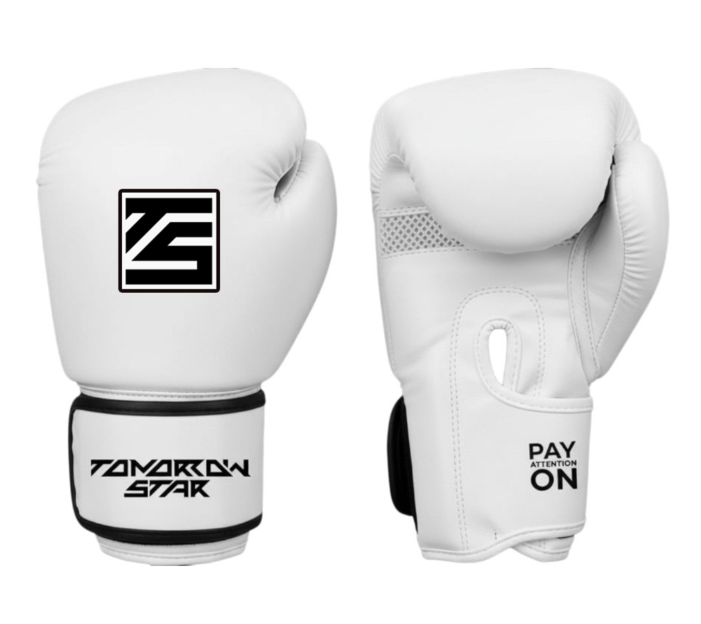 Перчатки боксерские Tomorrow star BNL (white)