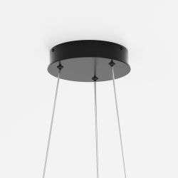 Люстра подвесная светодиодная Maytoni Rim MOD058PL-L65BK