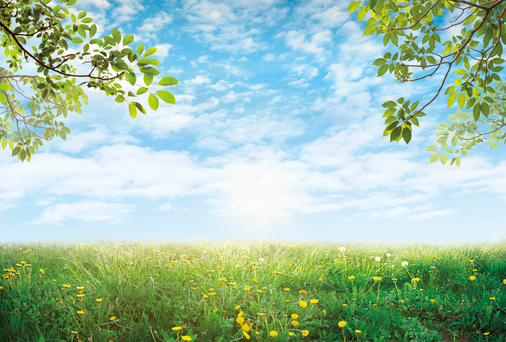 Коллекция Relax