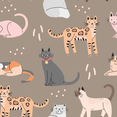 Породистые котики