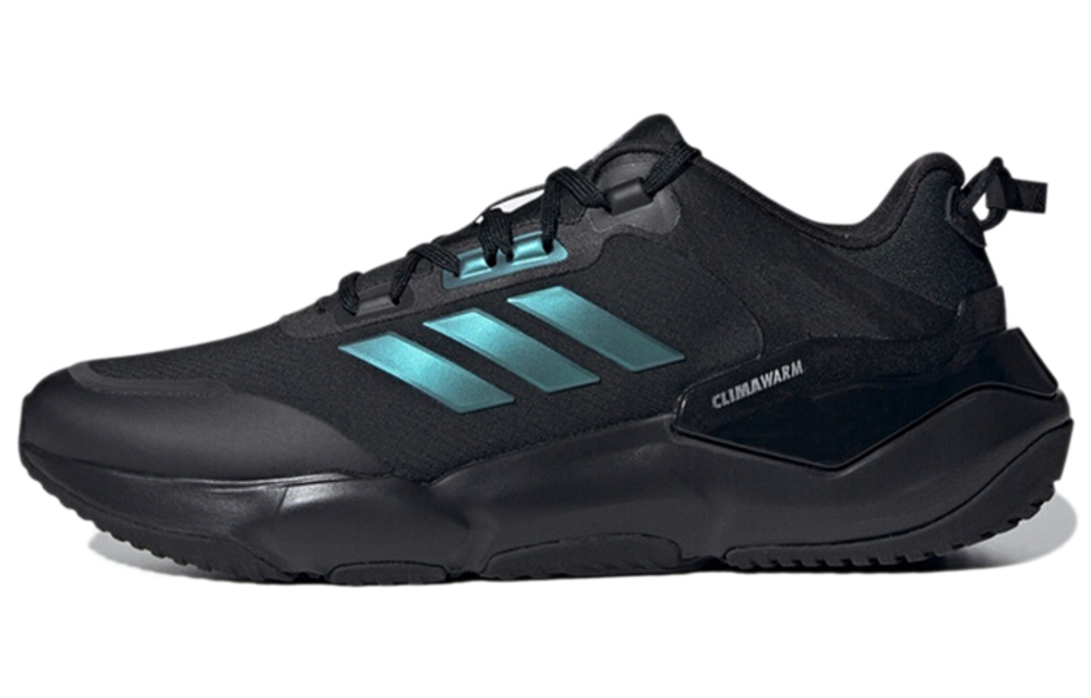 Кроссовки Adidas Climawarm Cruiser