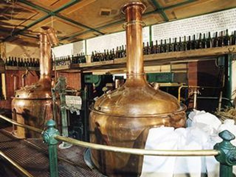 В Москве открылись первые в России курсы по пивоварению