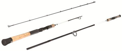 Спиннинг для рыбалки RYOBI FOKAMO