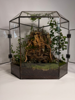 Флорариум XL (от 50 см)