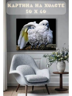 Картина на стену 40 X 50 Попугаи