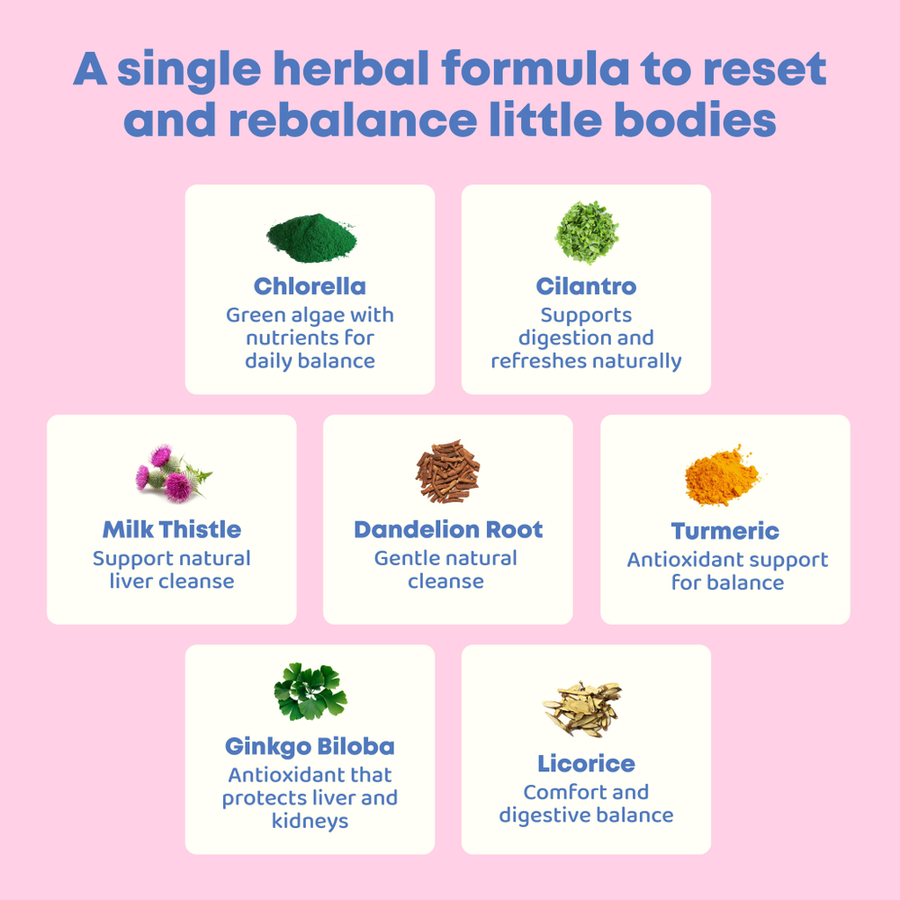 JoySpring, DetoxZee Herbal, 30 мл (1 жидк. Унция)