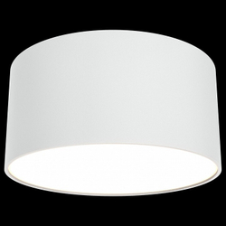 Накладной светильник Maytoni Technical C032CL-L12W3K