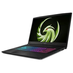 Ноутбук MSI Bravo 17 D7VE-078RU