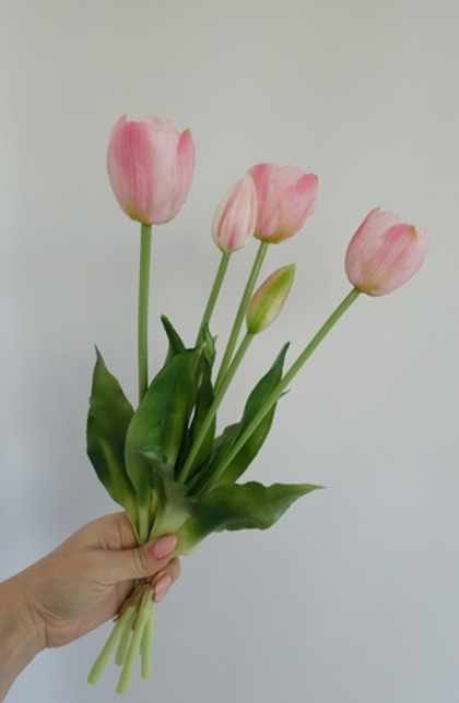 Тюльпаны пионовидные / Арт 2410