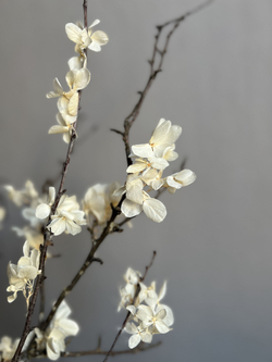 Композиция в вазе Сакура молочная