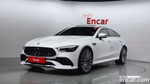 Mercedes-Benz AMG GT 4 даери 43 4MATIC+ (06.2021)