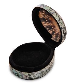 Decor and Gift 54-040 Декоративная шкатулка «Ракушка»