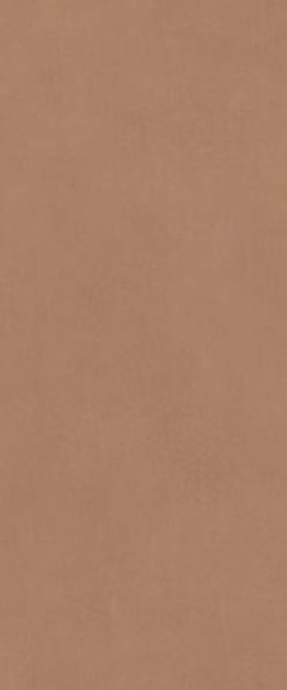 Настенная плитка Boost Expression Sienna (AYR9)