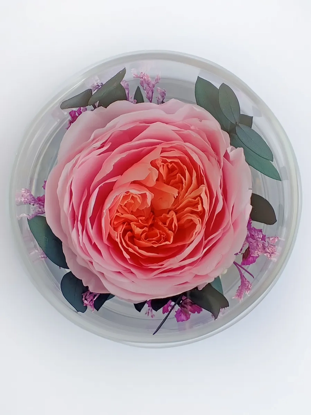 натуральный пион в стекле, вакуум*