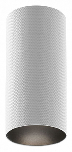 Накладной светильник Maytoni Artisan C080CL-01-GU10-W
