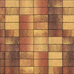 Тротуарная плитка ПРЯМОУГОЛЬНИК 200x100 мм - Листопад гранит Осень