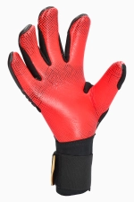 Вратарские перчатки Reusch Attrakt Gold X GluePrint