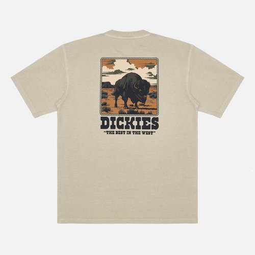 Футболка мужская Dickies Darrtown Short Sleeve Tee 