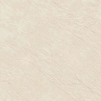 Alma Ceramica Evolution GFU04EVL08R 60x60