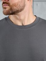 Фуфайка (футболка) мужская Арчи-1 Виотекс СЕРЫЙ