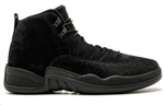 Кроссовки Jordan Air Jordan 12 Retro Ovo Black 2017