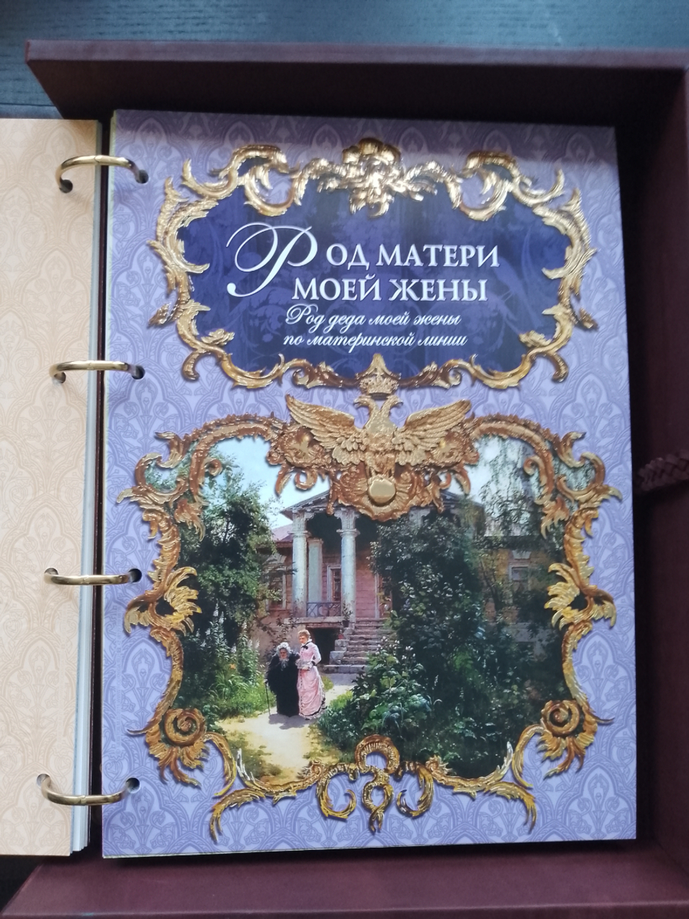 Большая семейная родословная книга "Столетие", натуральная кожа